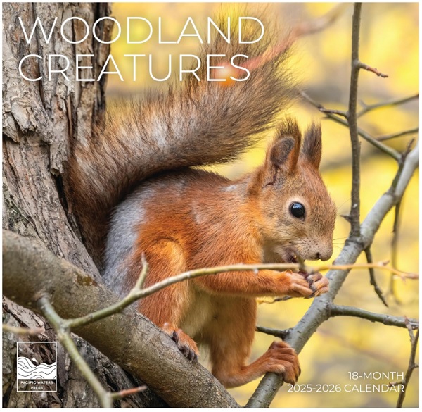 Woodland Creatures Wall Calendar Pacific Waters Press 2026